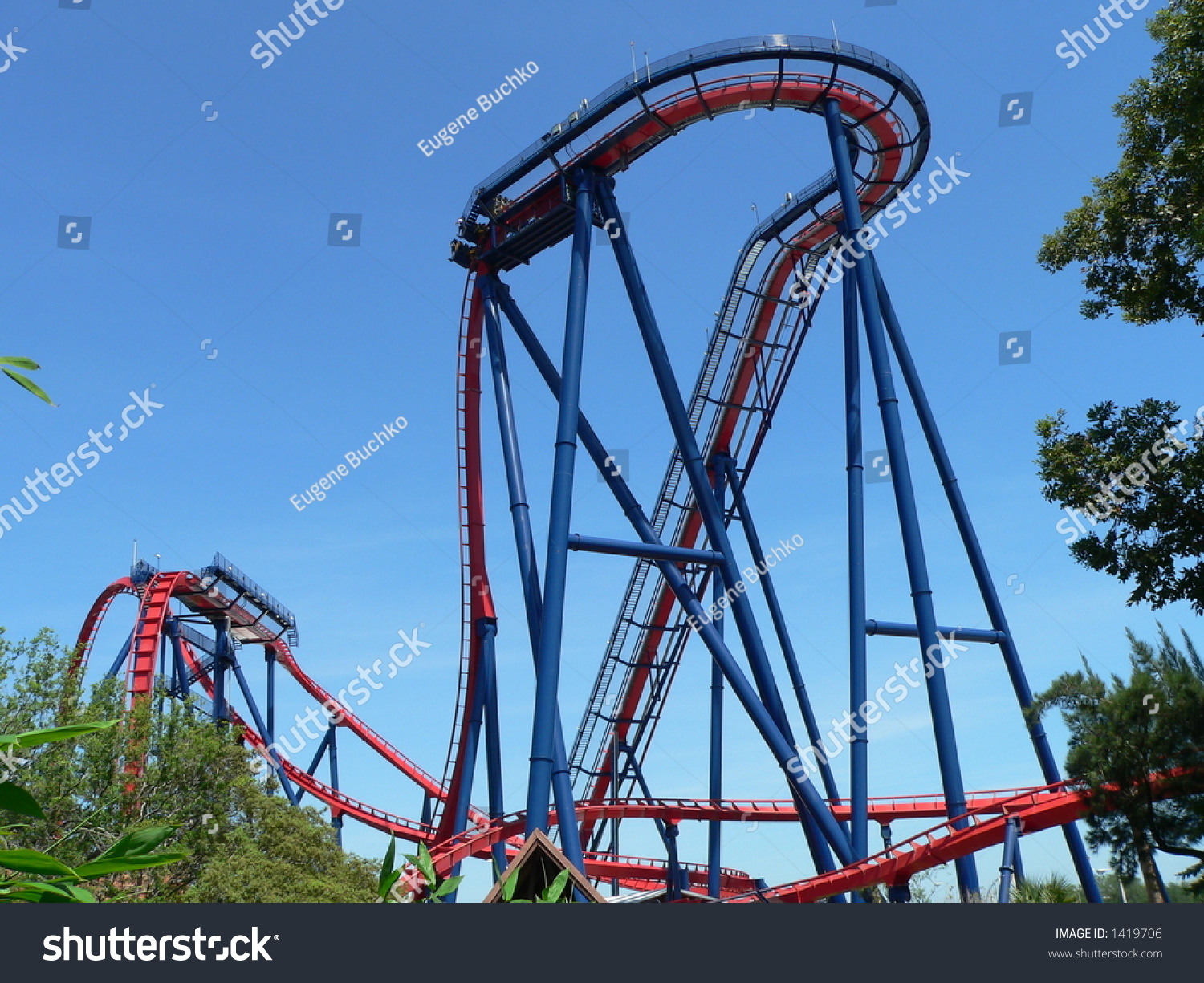 Sheikra Roller Coaster Busch Gardens Tampa Stock Photo Edit Now