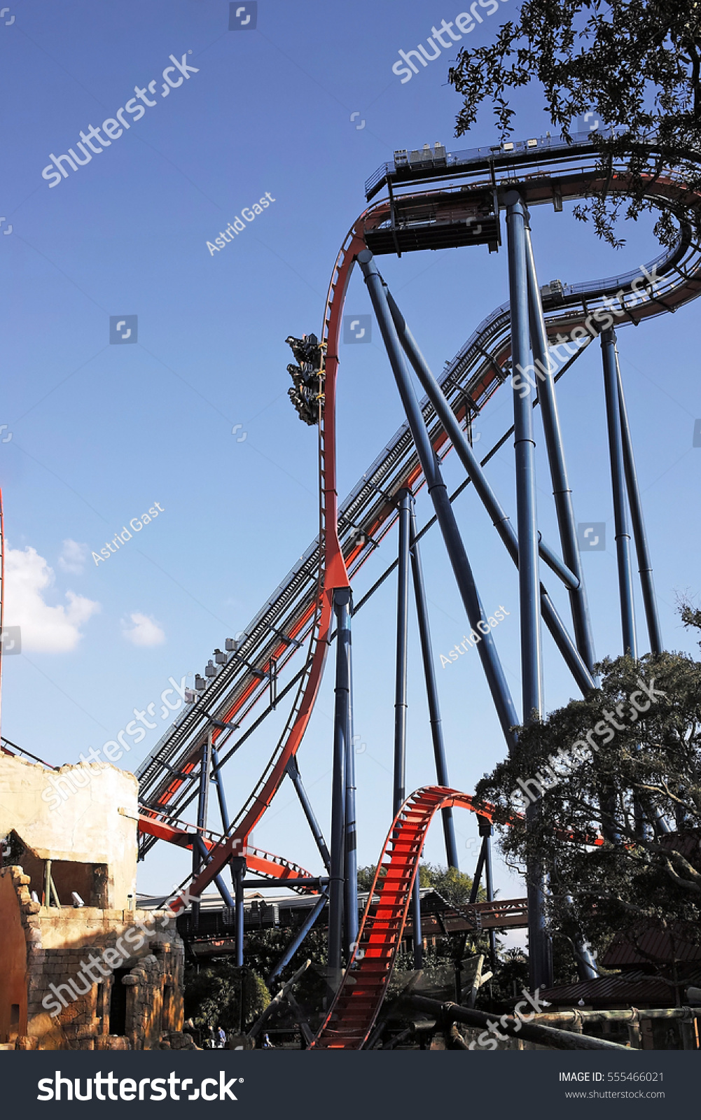 Sheikra Roller Coaster Bush Gardens Tampa Stock Photo Edit Now