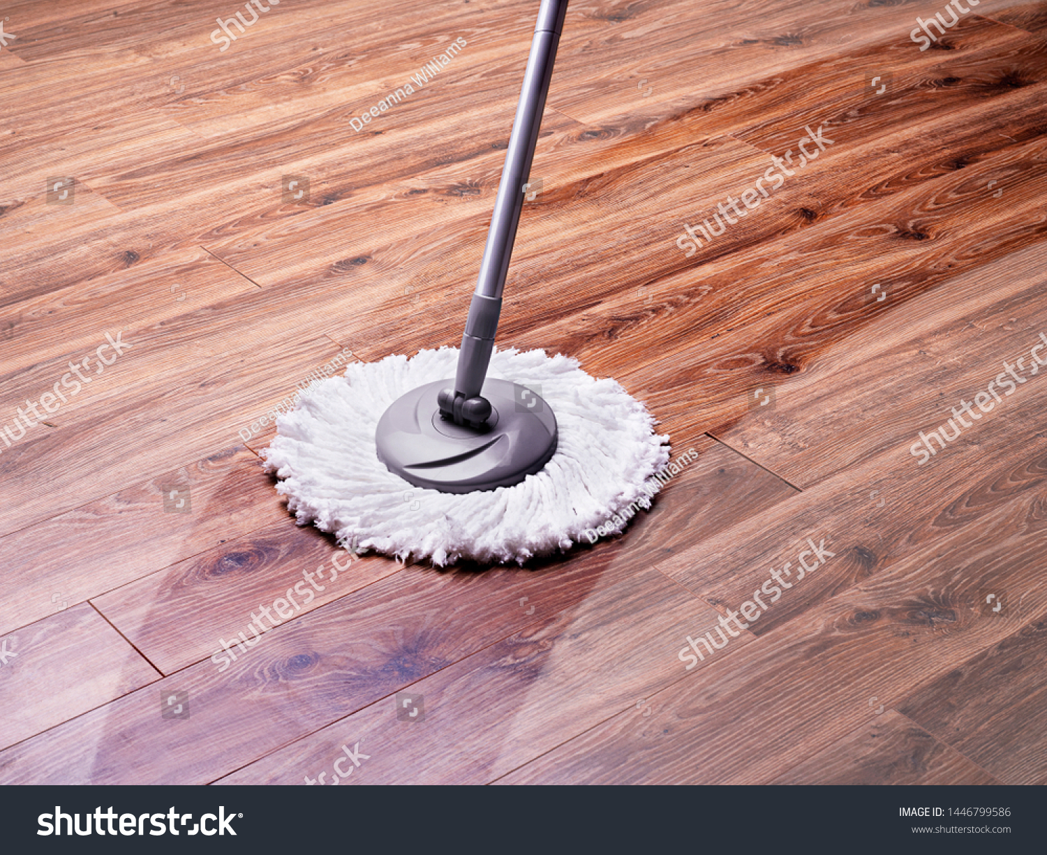 Shiny Clean Streak On Wooden Floor Stock Photo Edit Now 1446799586