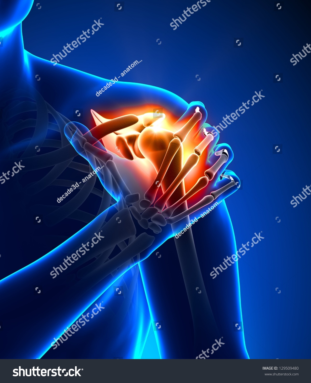 shoulder-pain-anatomy-concept-stock-illustration-129509480-shutterstock