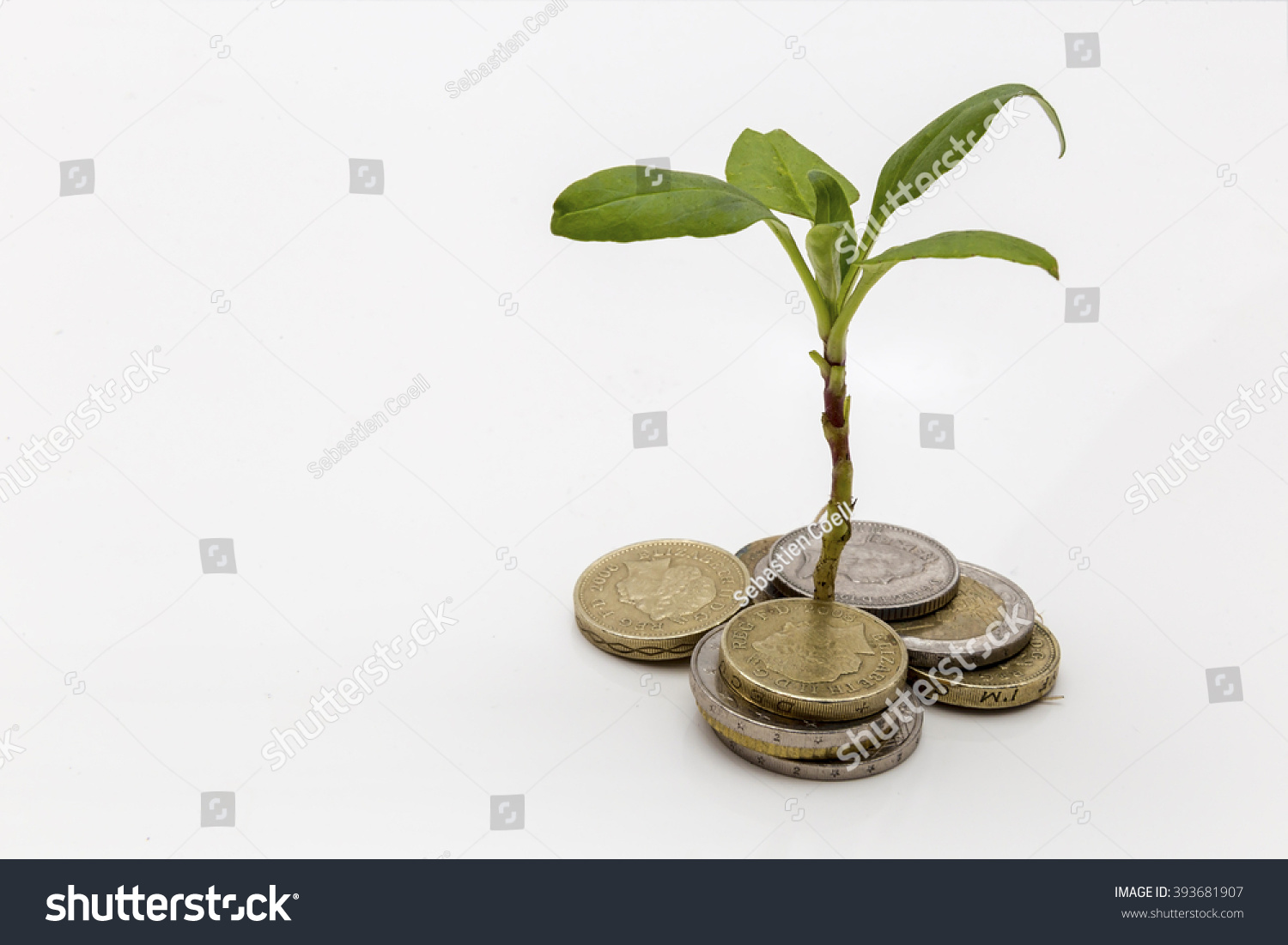 Showing a plant growing out of a pile of money symbolising investments and savings