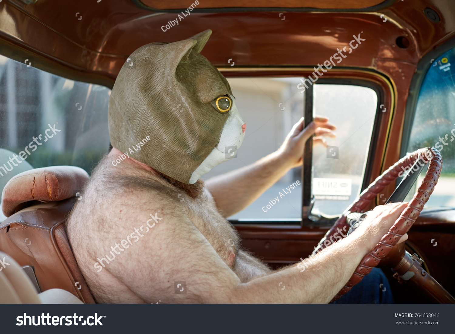 車の運転中に奇妙でおかしな猫マスクを着た シャツのない太り過ぎの男性の横から見ると の写真素材 今すぐ編集