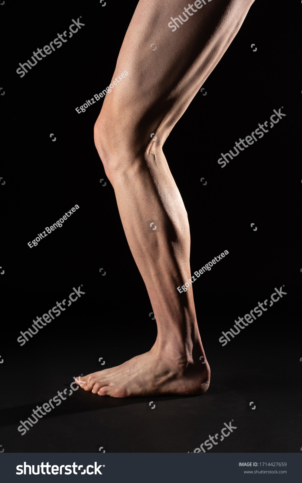 Side View Leg Calf Muscle Fibrous Zdjęcie Stockowe Edytuj Teraz 1714427659