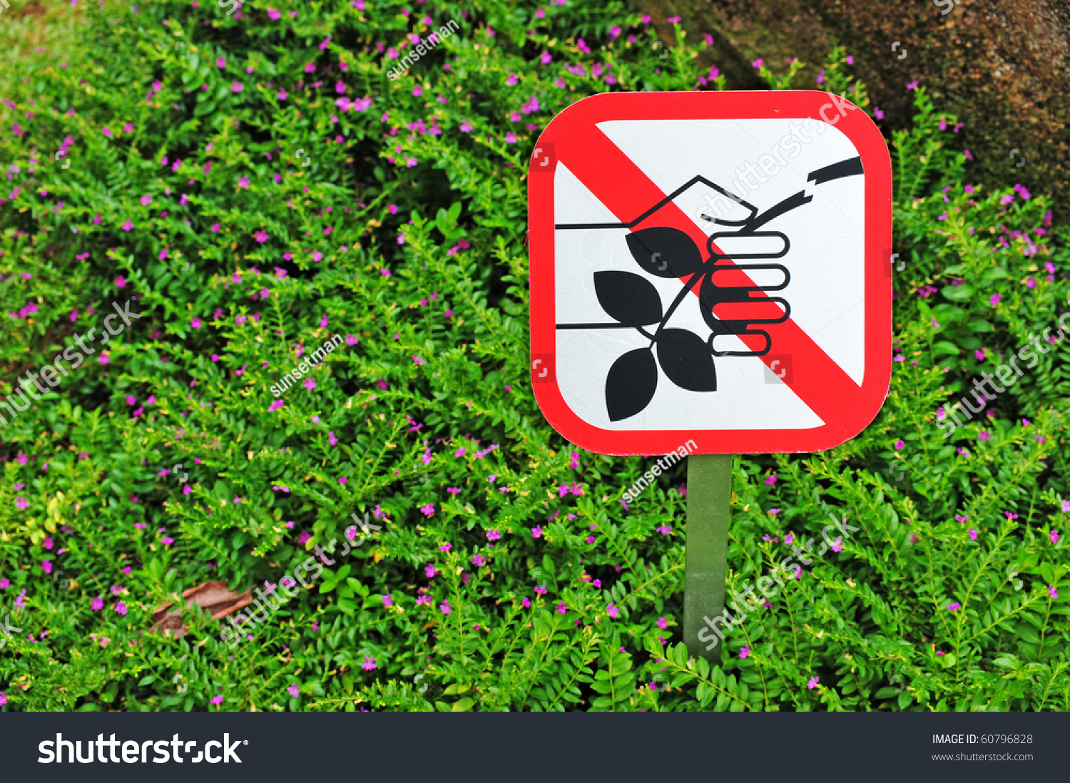 Sign In The Garden Cautioning Not To Pluck Flowers And Leaves Stock ...