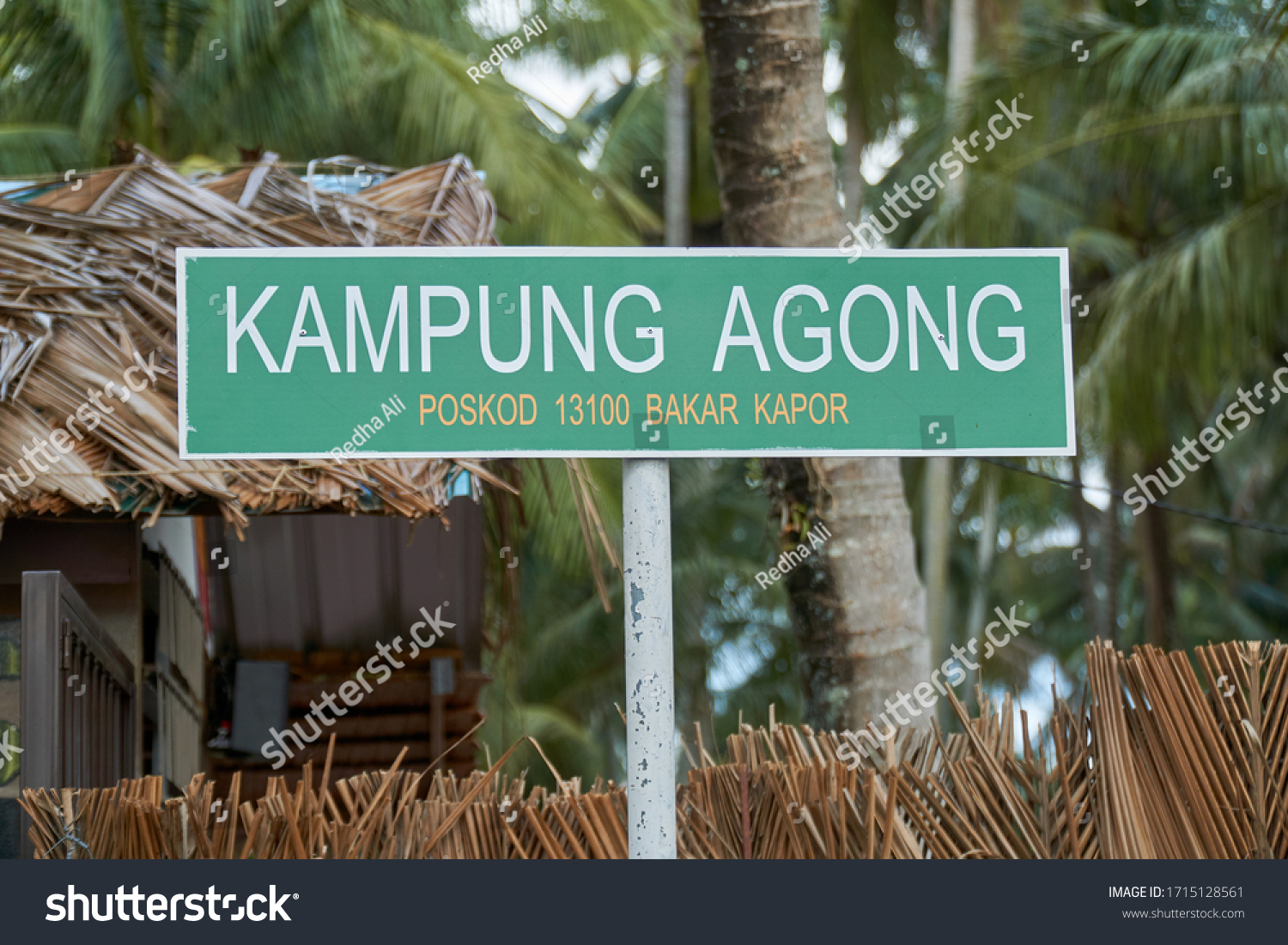 Agong kampung Kampung Agong,