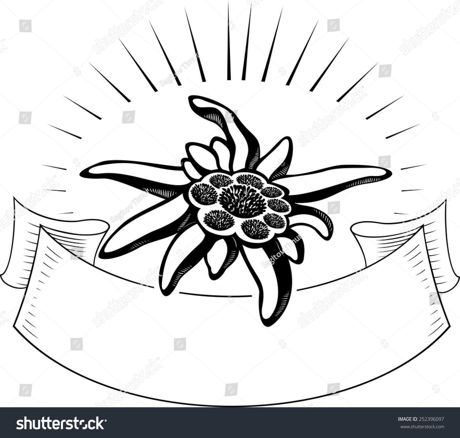 silhouette edelweiss flower symbol alpinism banner stock silhouette edelweiss flower symbol alpinism banner stock