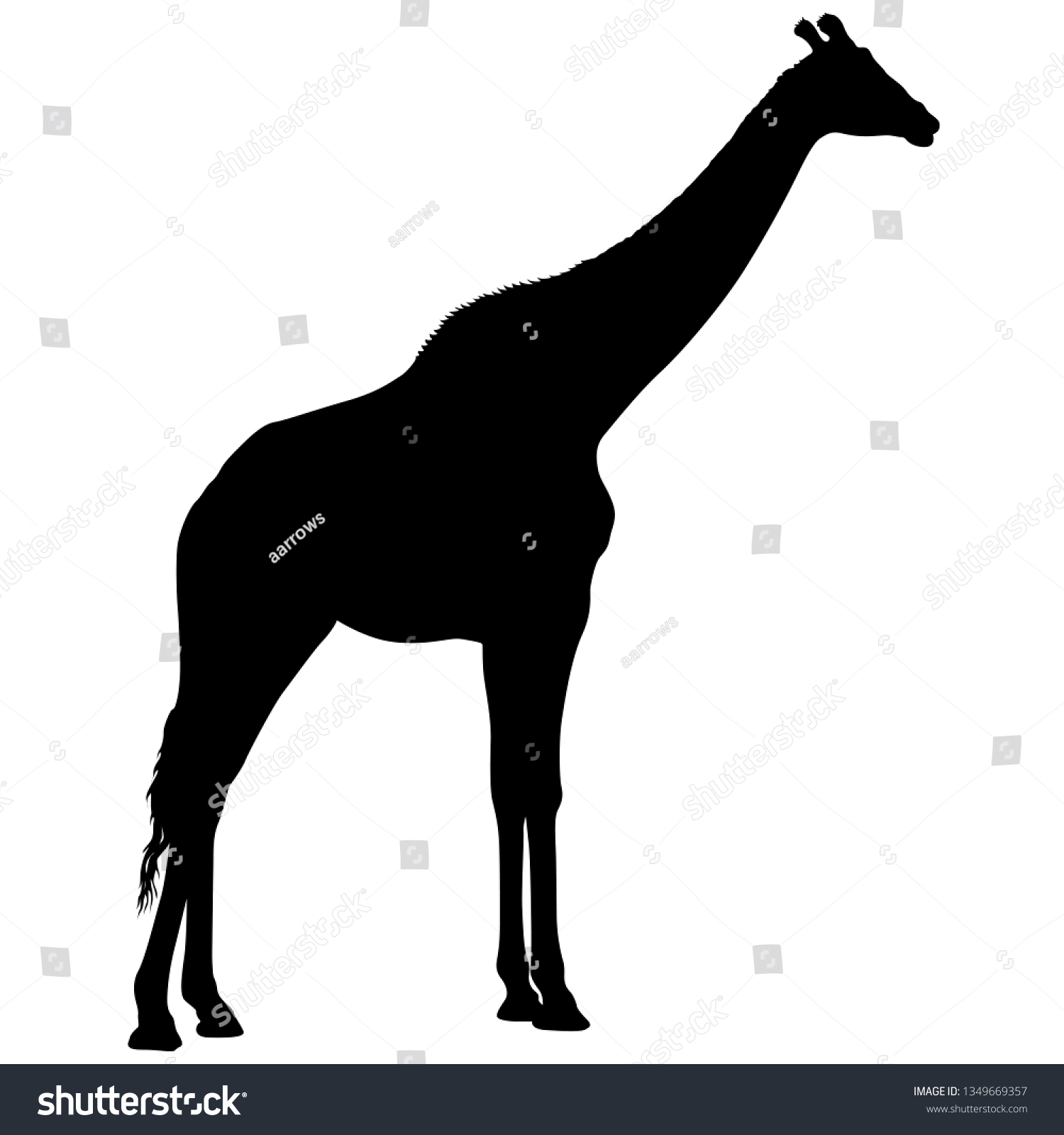 Silhouette High African Giraffe On White Stock Illustration 1349669357 ...