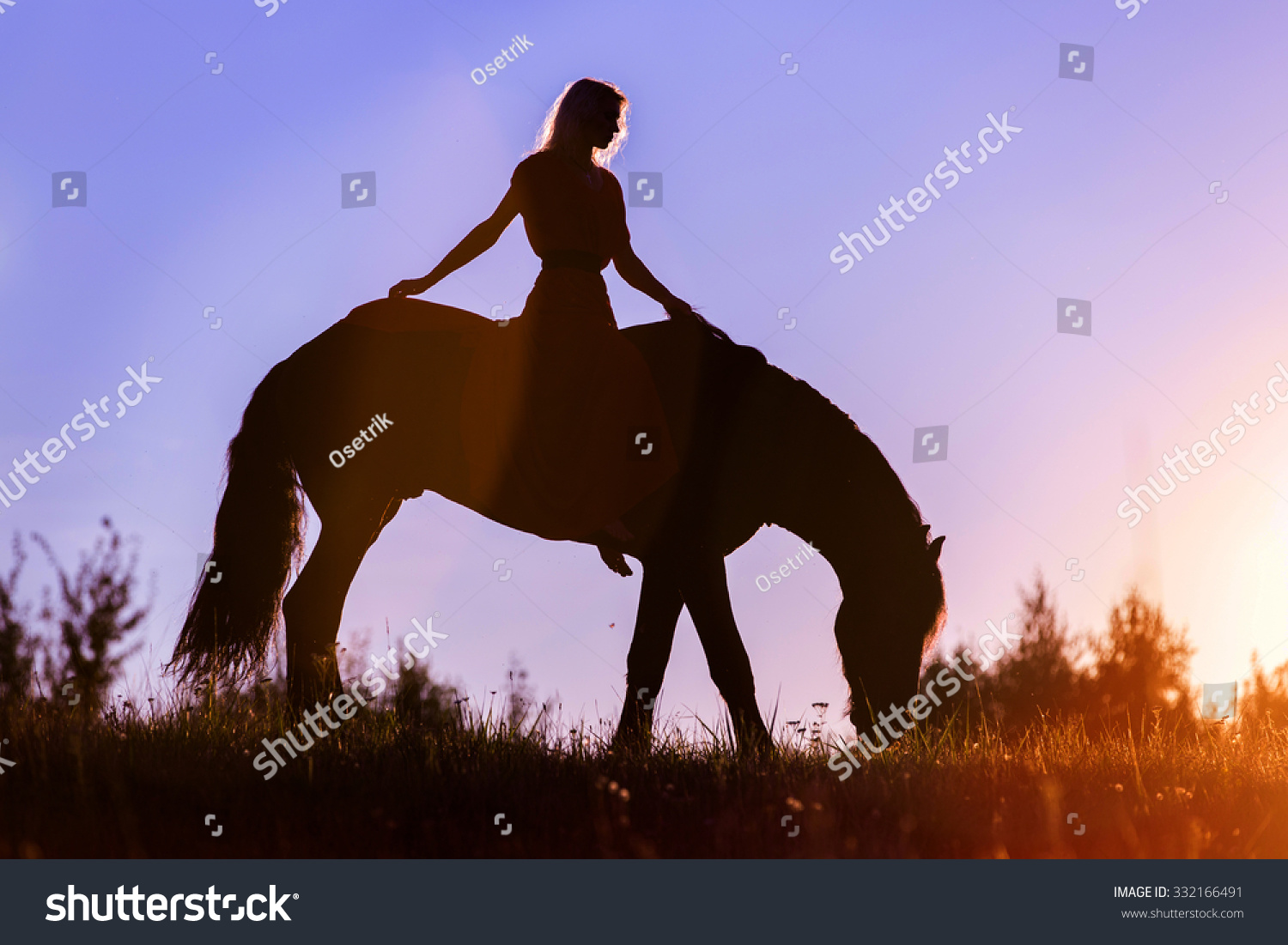 Silhouette Of A Woman On A Horse. Stock Photo 332166491 : Shutterstock