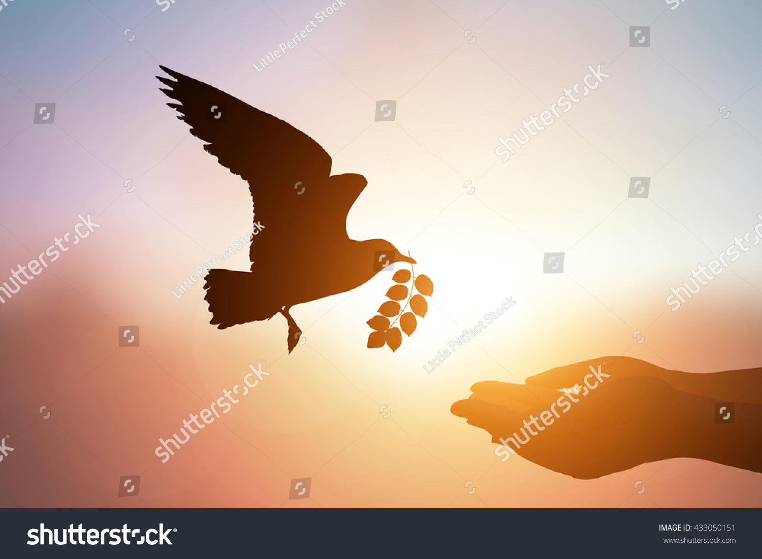 Silhouette Of Bird Carrying Leaf Branch For Two Hand And International ...