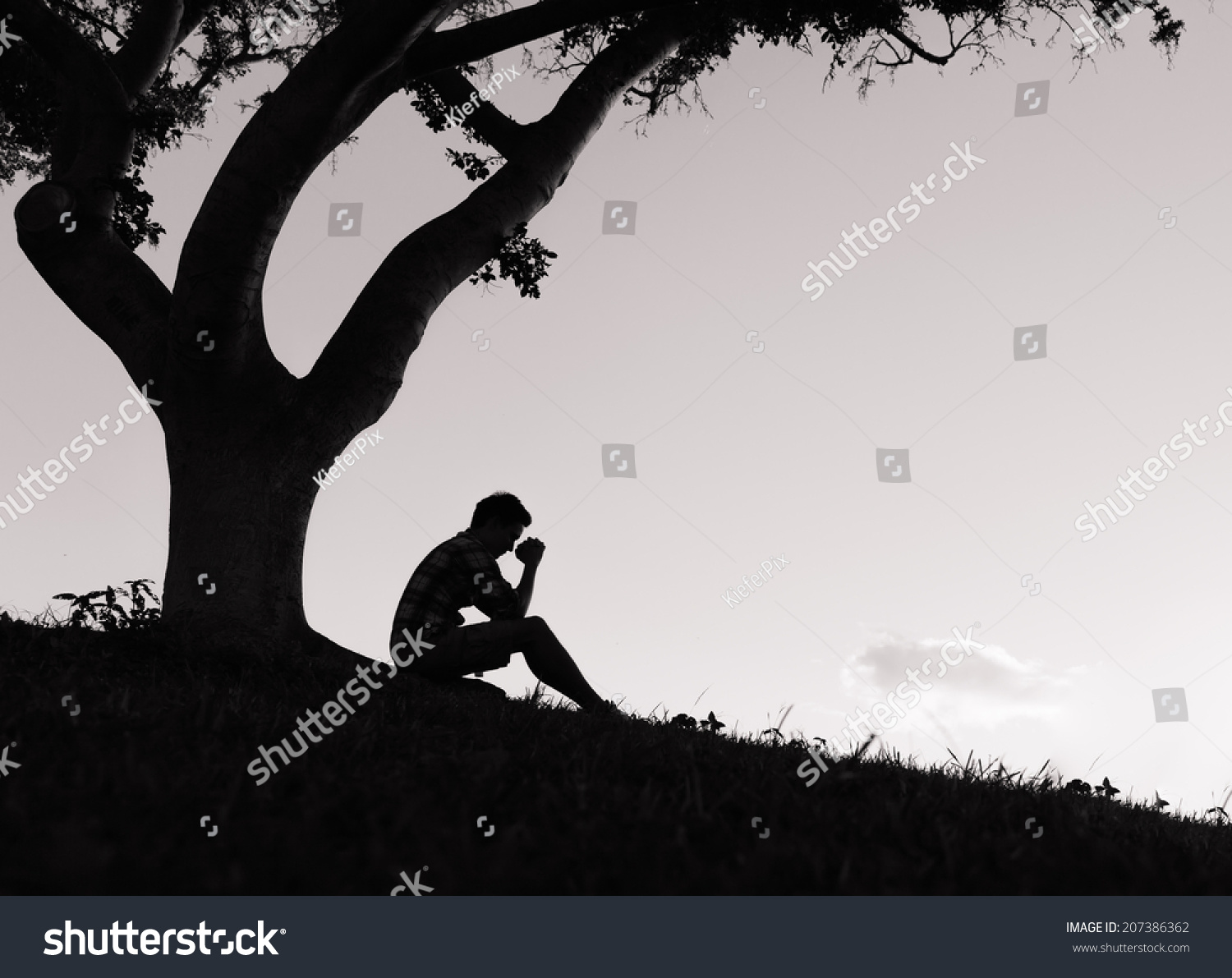 Silhouette Of Depressed Man Sitting Under The Tree. Stock Photo ...