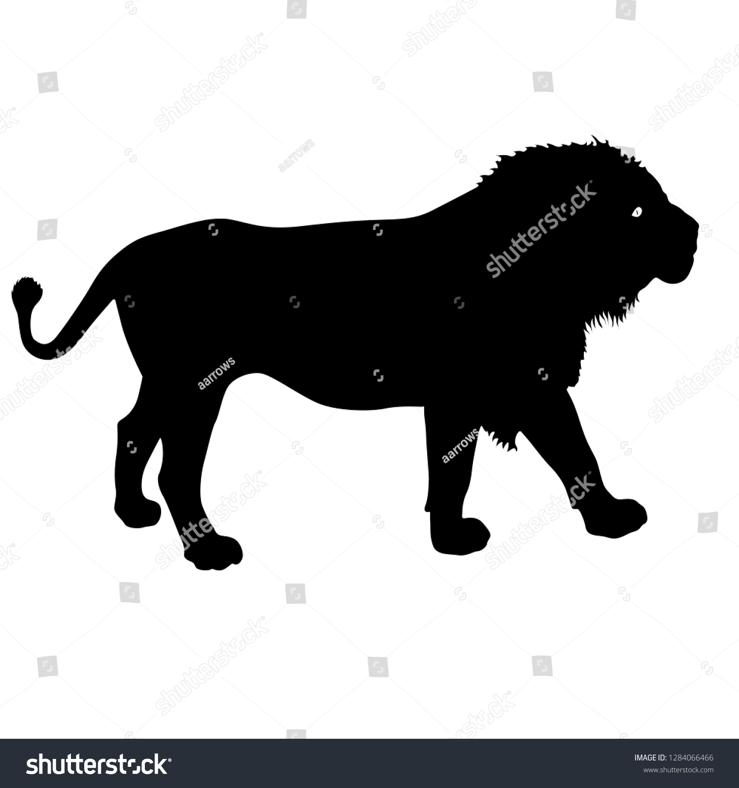 Silhouette Lion On White Background Stock Illustration 1284066466 ...