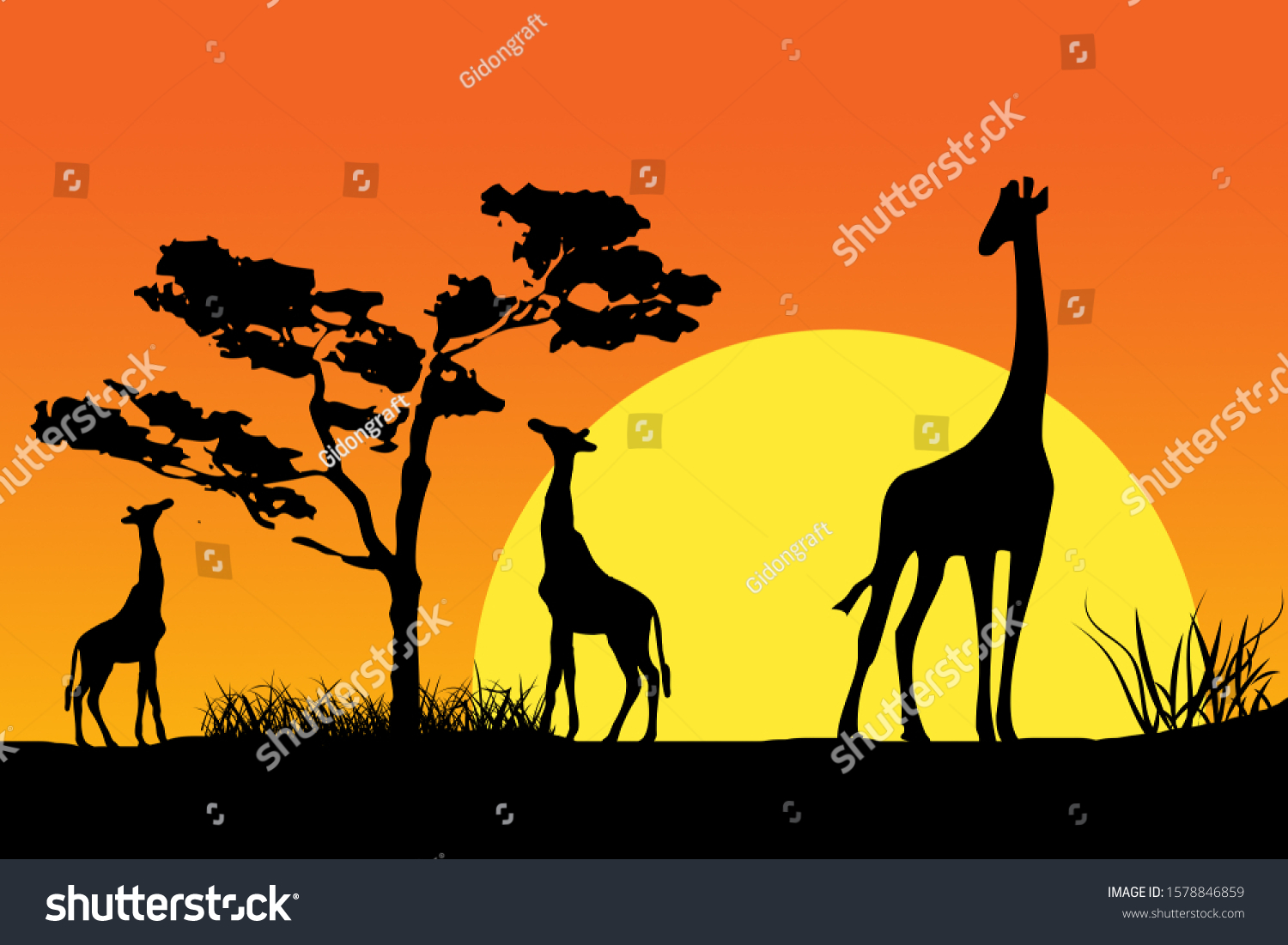 Silhouette Three Giraffe On Beautiful Sunsets Stock Illustration ...