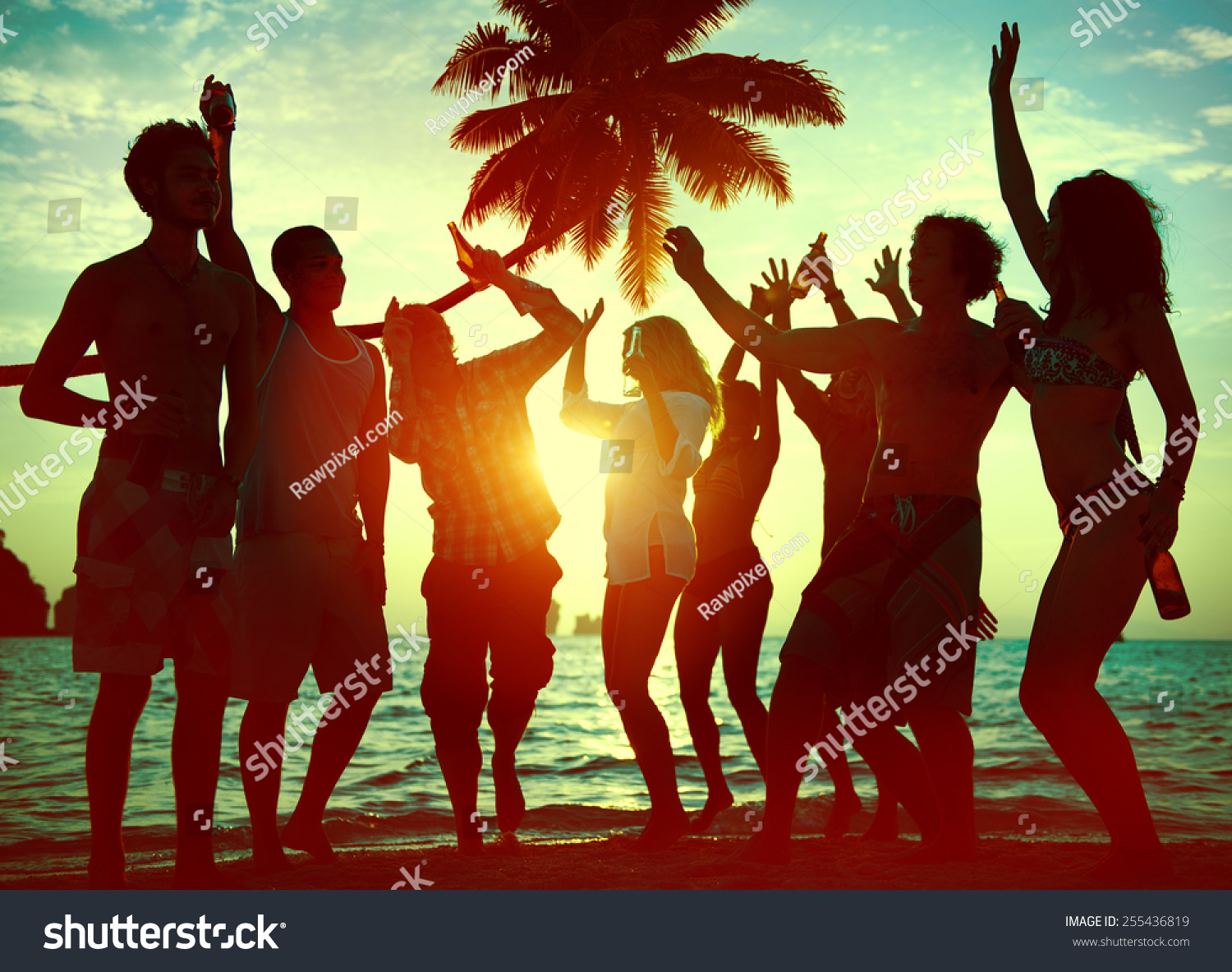 Silhouettes Diverse Multiethnic People Partying Stock Photo 255436819 ...