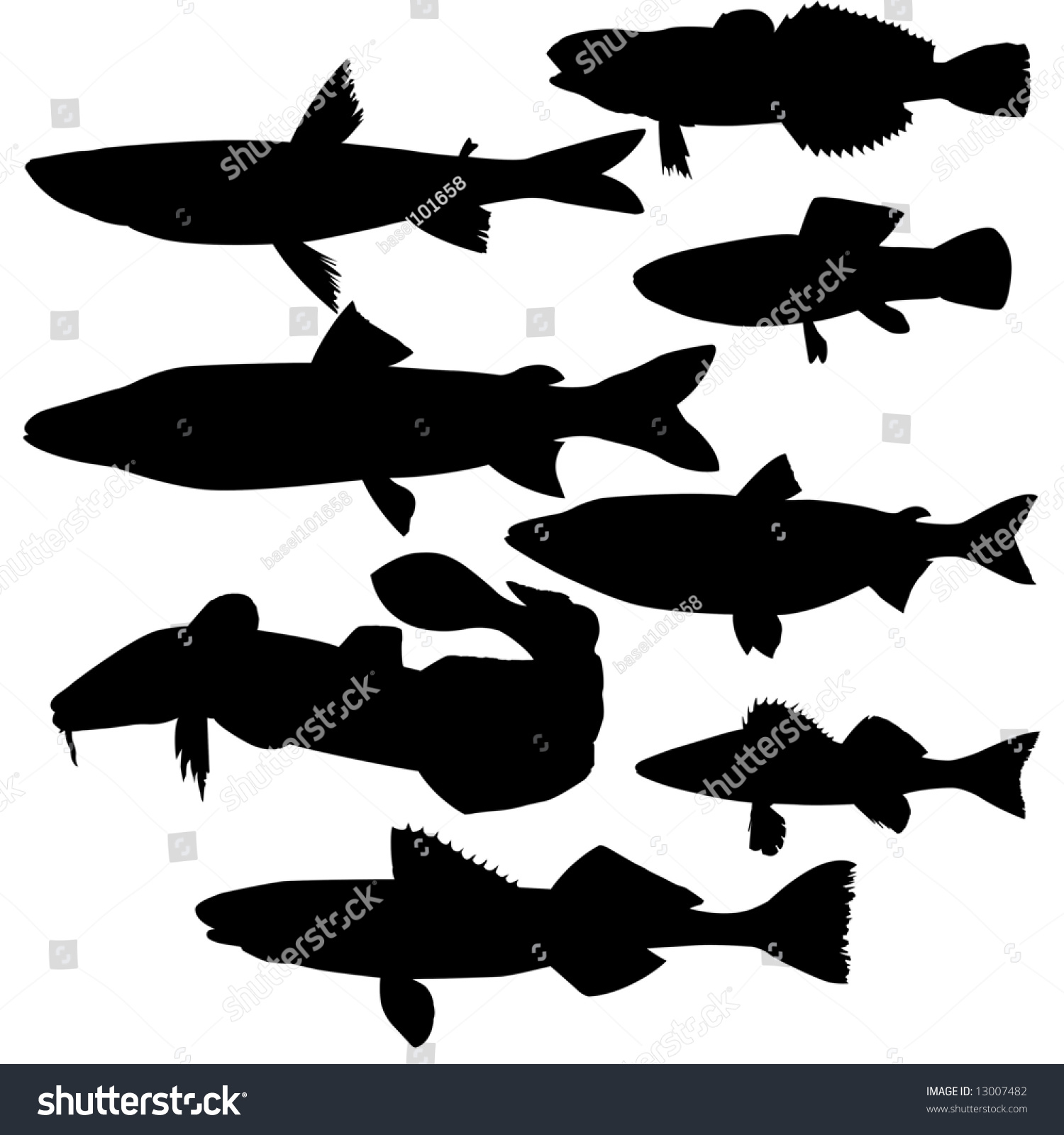 Silhouettes River Fish On White Background Stock Illustration 13007482