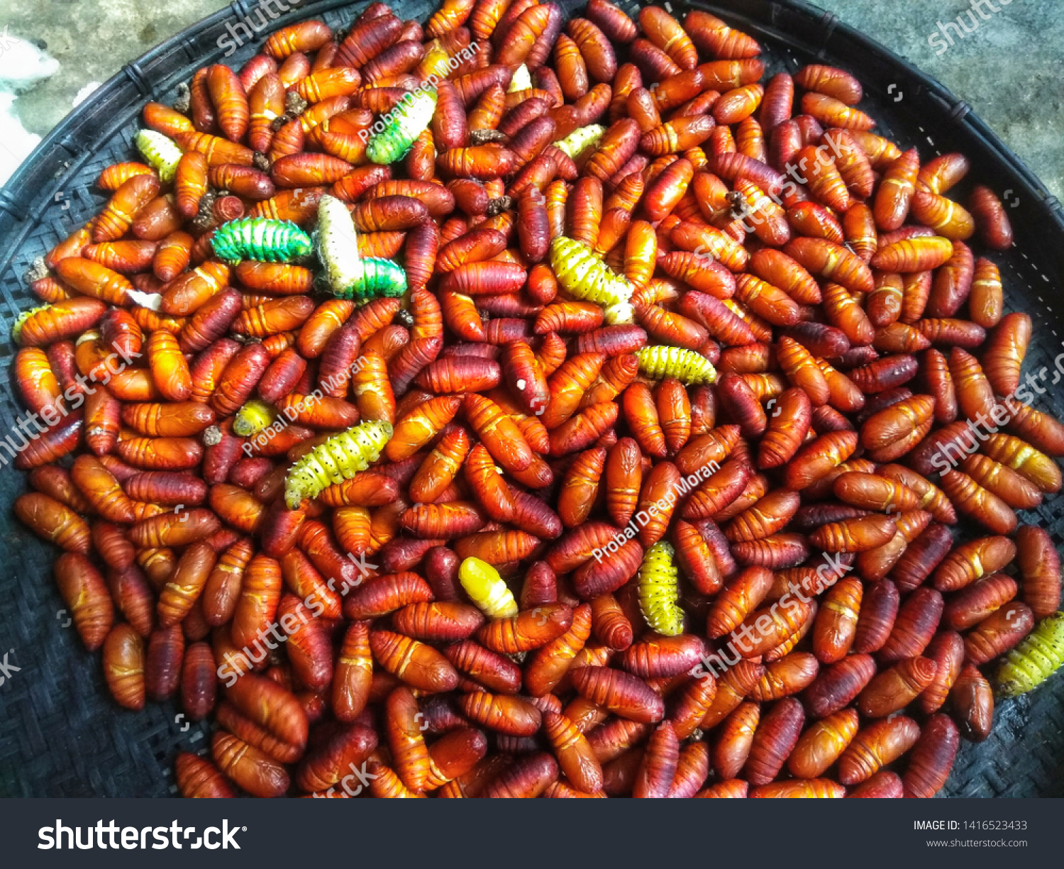 Silkworm Pupaepolu Leta Popular Dish Upper Stock Photo Edit Now