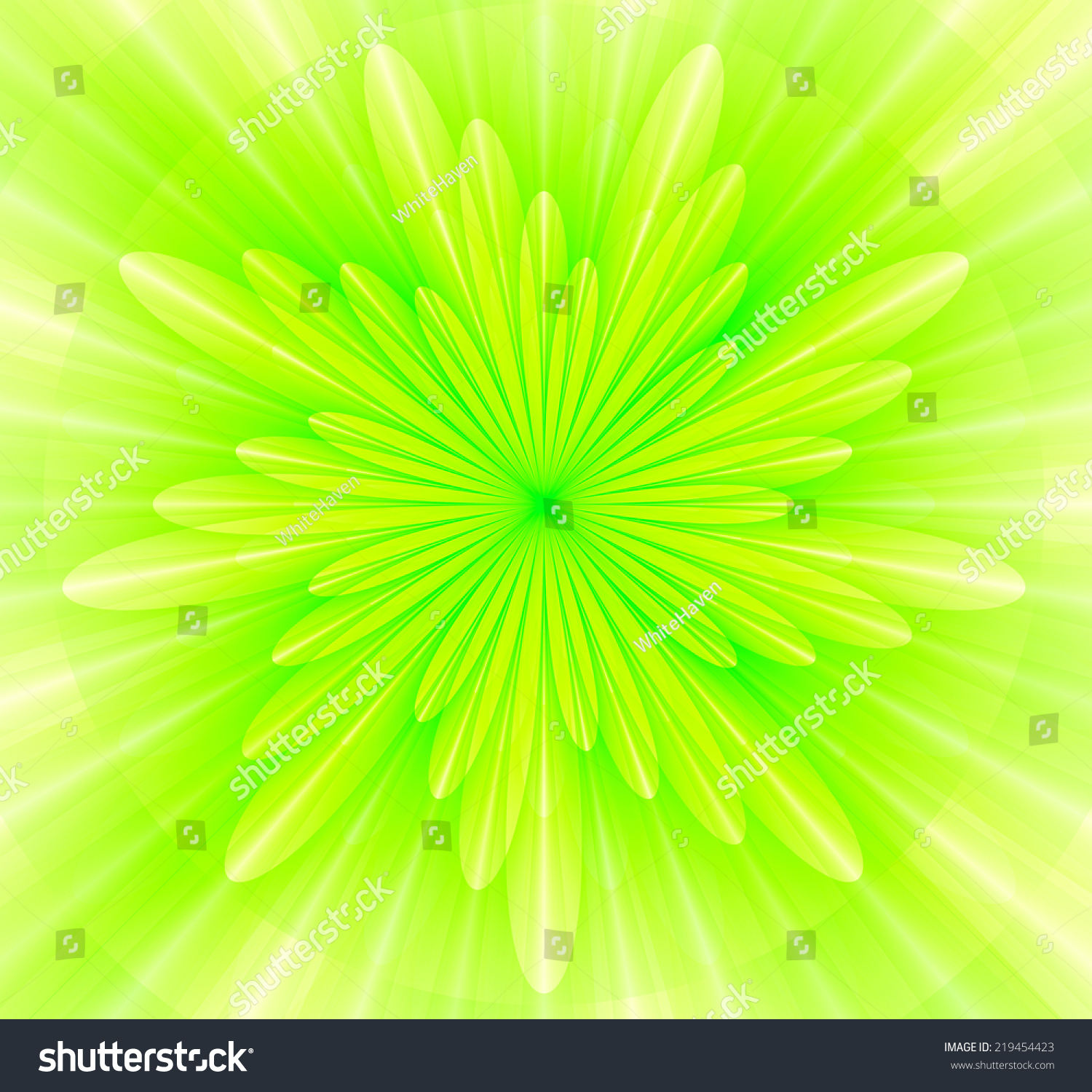 Simple And Beautiful High Resolution Shining Bright Starflower Wallpaper In Simple And Beautiful High Resolution Shining Bright Starflower Wallpaper In