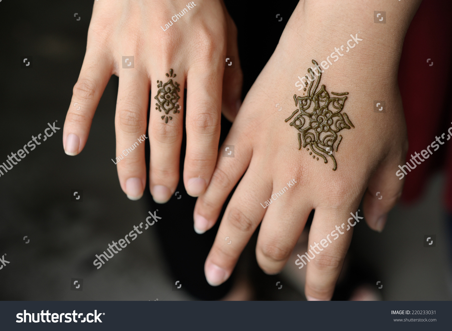 Simple Henna Tattoos Stock Photo Edit Now 220233031