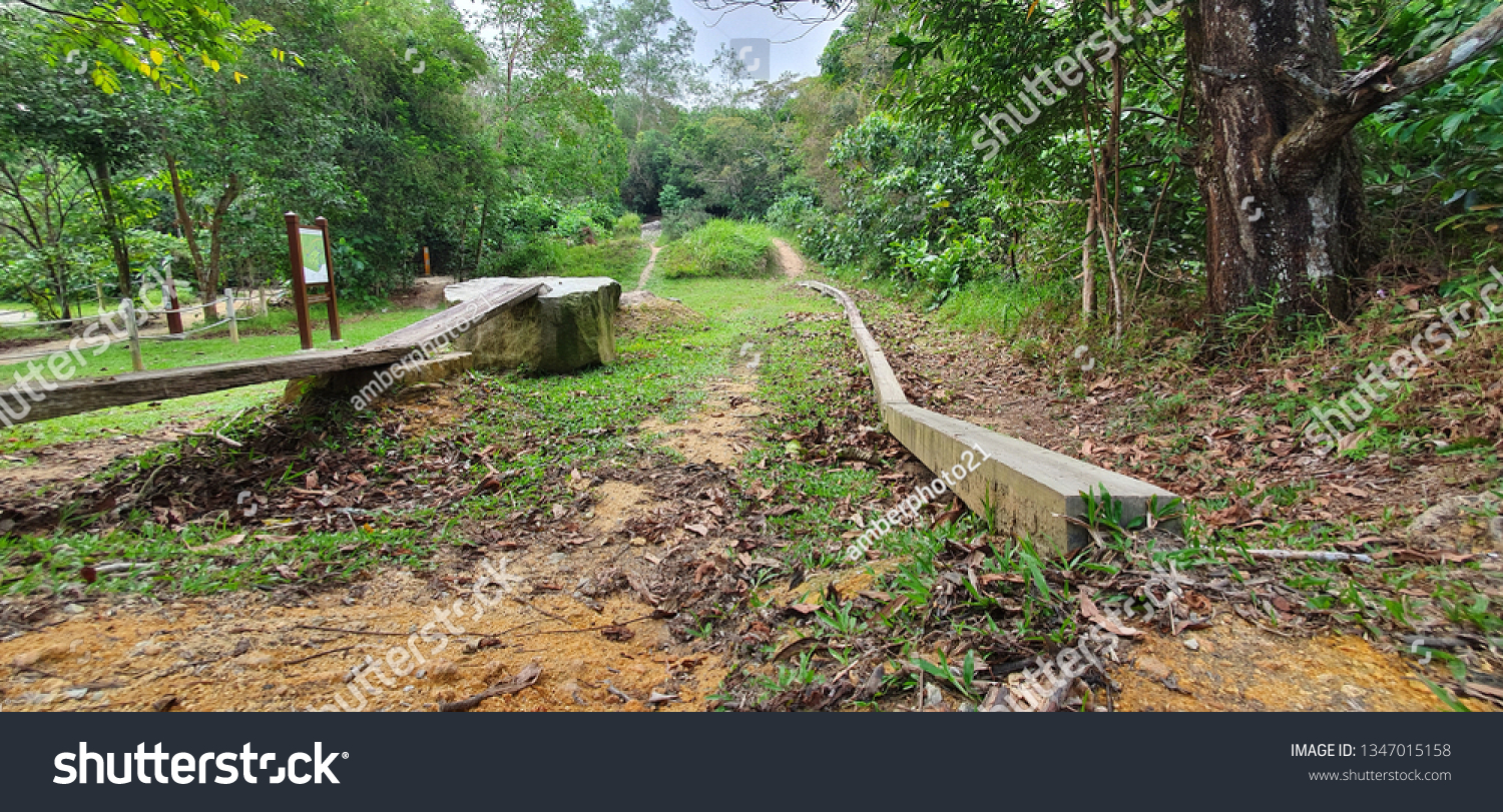 chestnut mtb trail