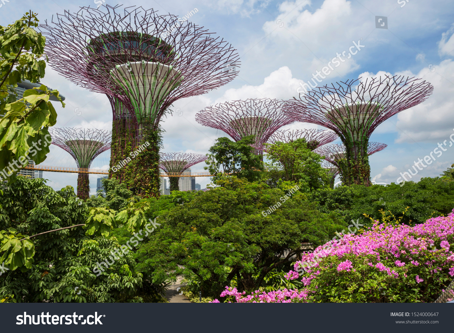 Singapore 01182018 Gardens By Bay Futuristic Stockfoto Jetzt
