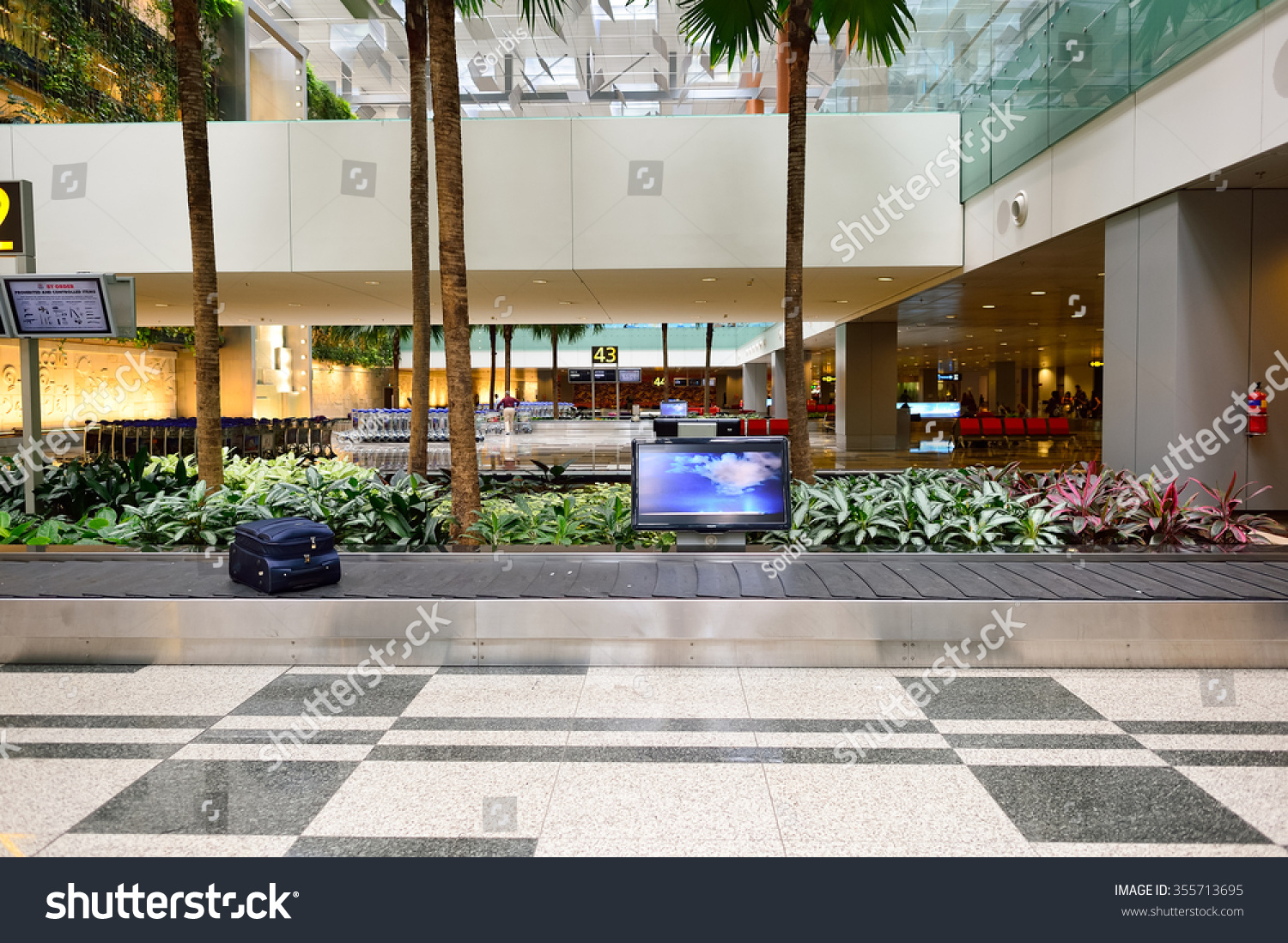 changi airport baggage claim