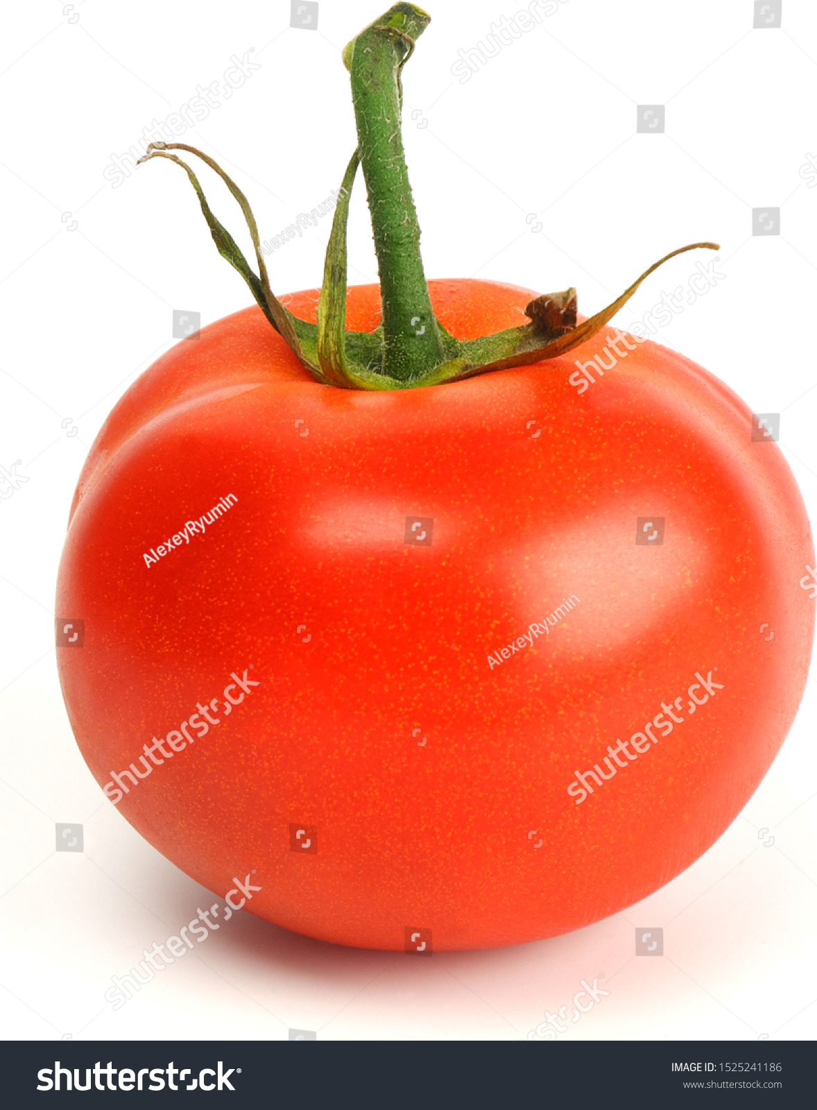 Single fresh juicy red bunch tomato on white background