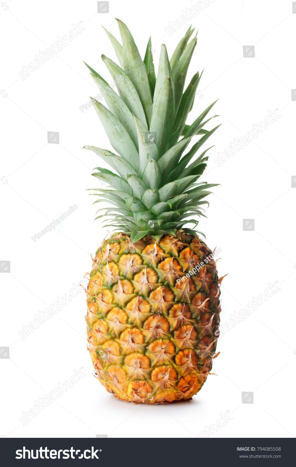 Single Whole Pineapple Isolated On White Stock Photo 794085508 ...