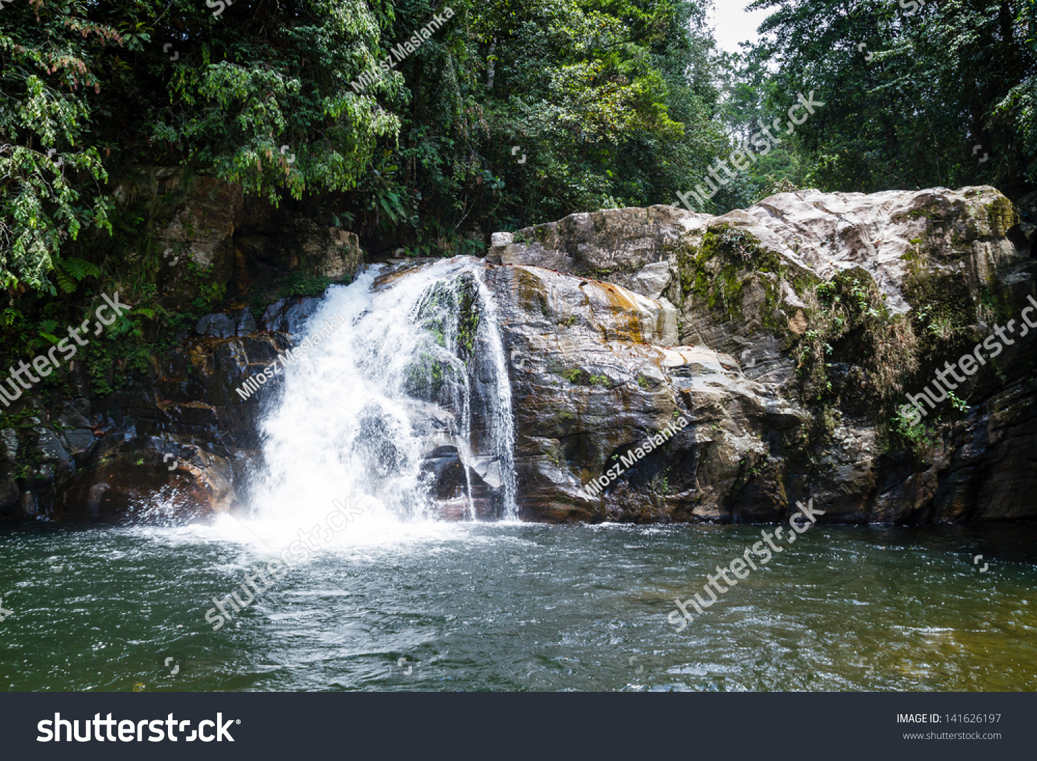 Sinharaja Rainforest Waterfall Stock Photo 141626197 | Shutterstock