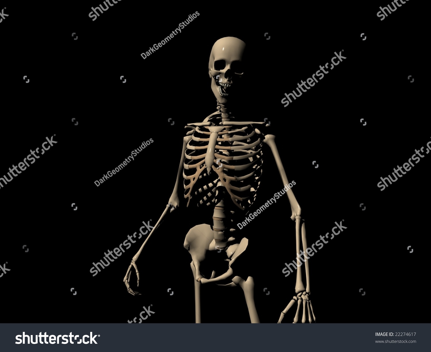 Skeleton Stock Illustration 22274617 - Shutterstock