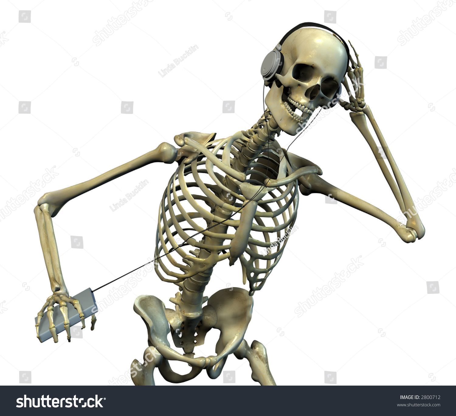 These headphones let you listen to music through the bones of the skull These headphones let you listen to music through the bones of the skull