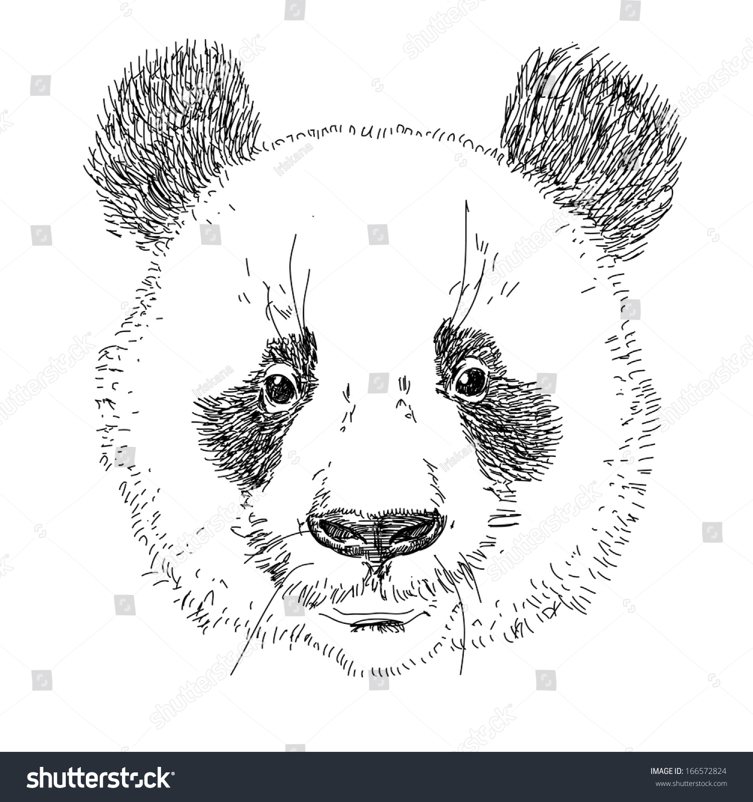 Sketch Illustration Panda Bear Hat Vector Stock Illustration 166572824 ...