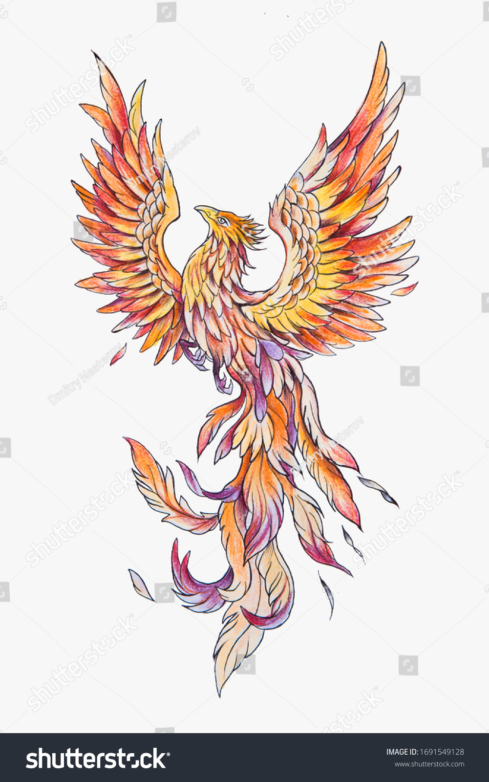 Sketch Noble Phoenix On White Background Stock Illustration 1691549128 ...