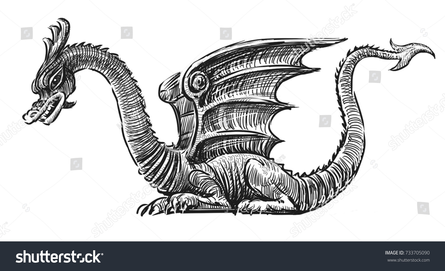 Sketch Mythical Dragon Stock Illustration 733705090