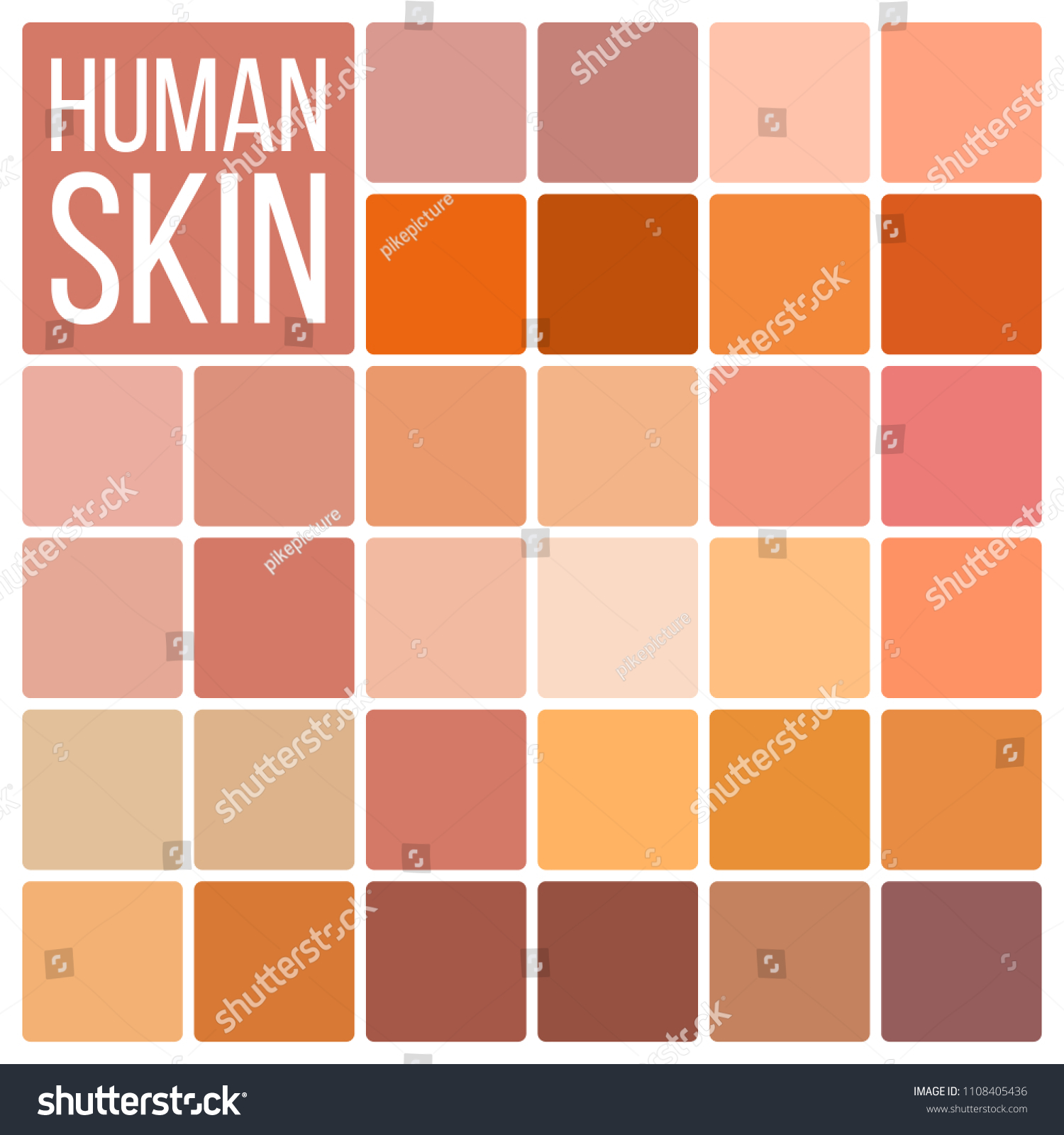 Skin Human Various Body Tones Chart Stock Illustration 1108405436