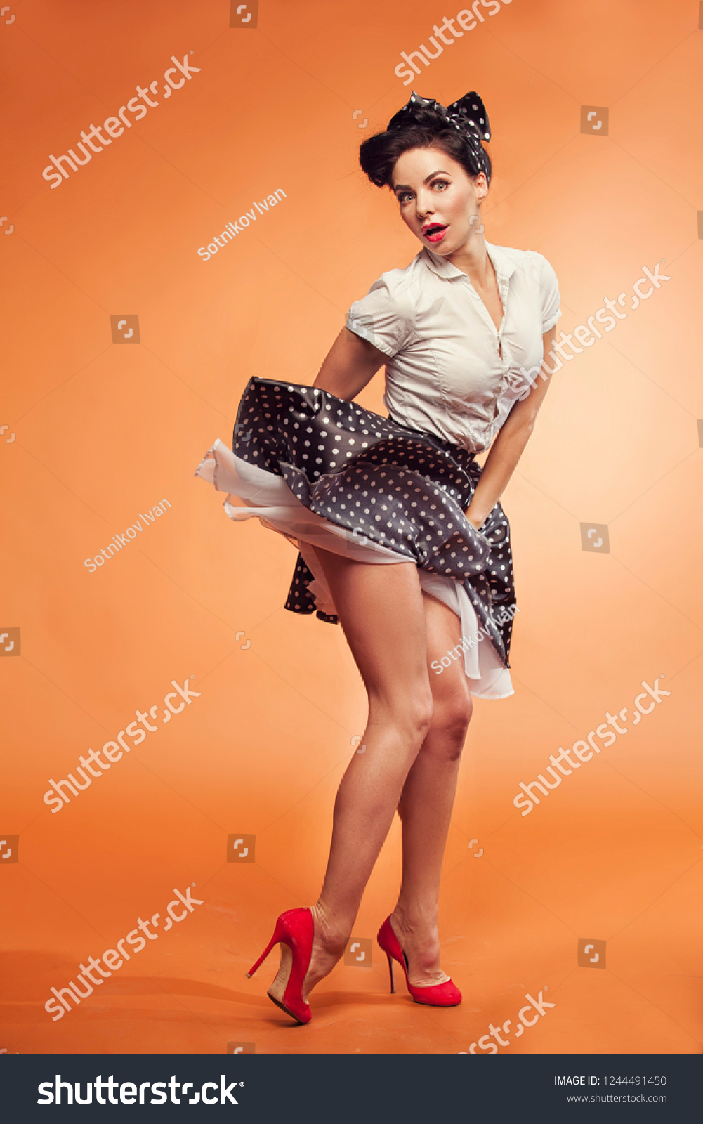 pin up style skirts