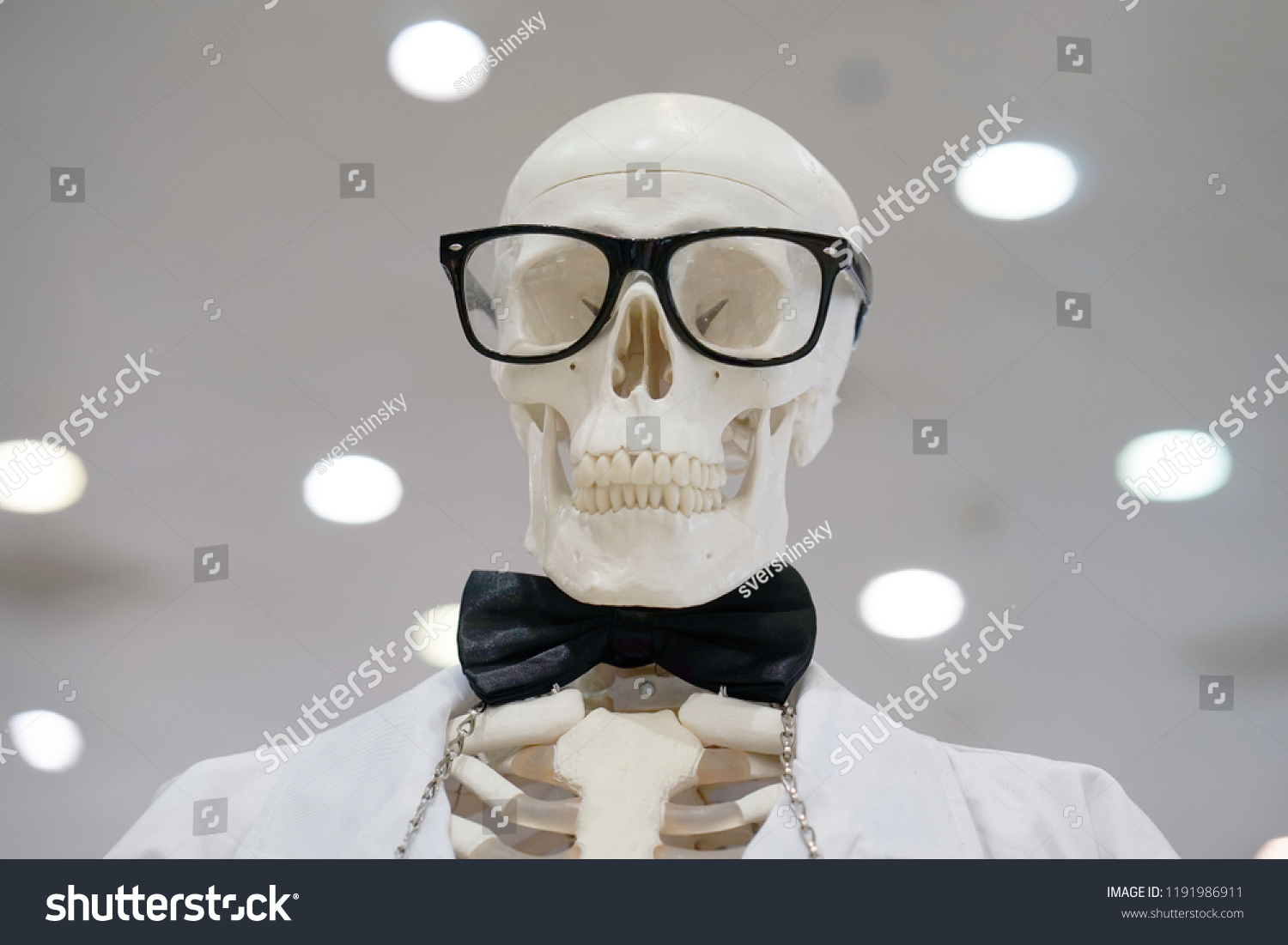 Skull Head Wearing Eyeglasses White Scientific Stock Photo 1191986911 ...