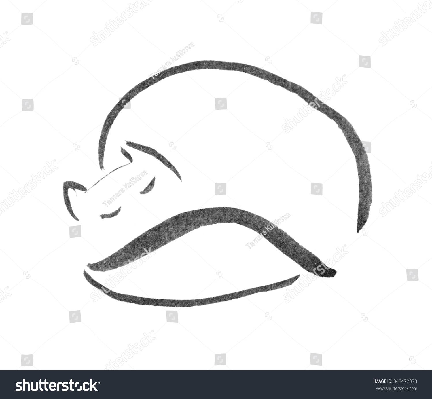 Sleeping Cat Black And White Ink Sketch Stock Photo 348472373 ...