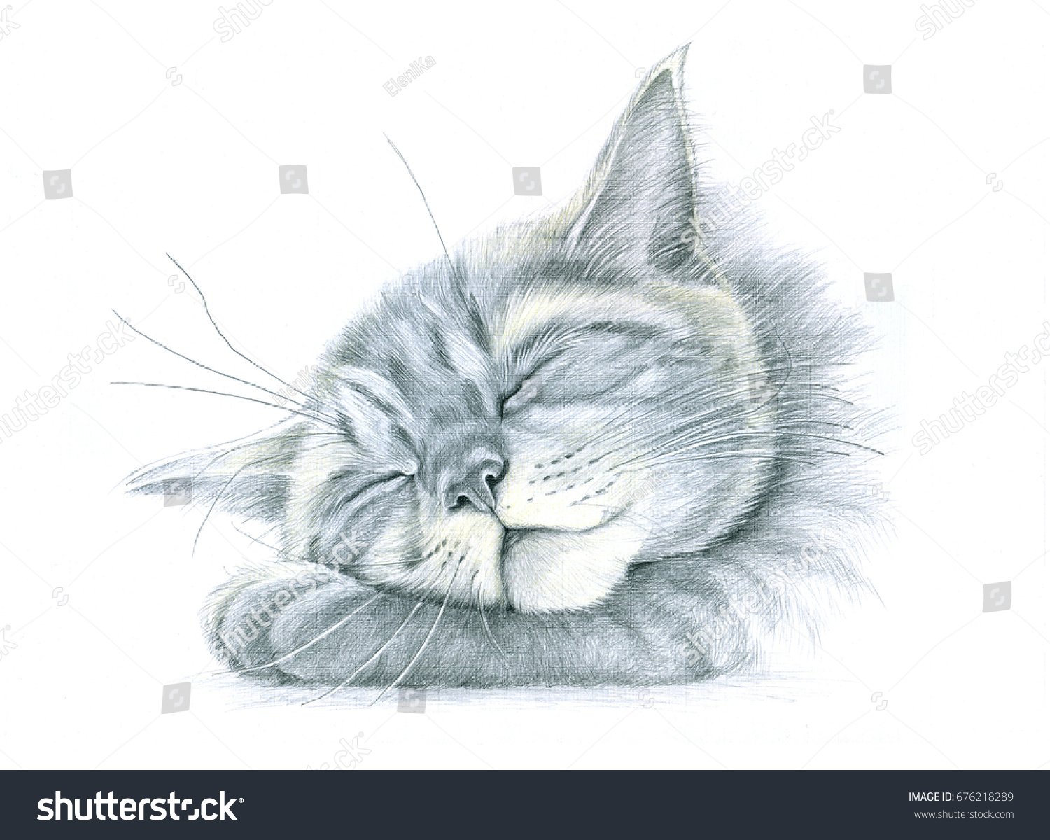 Sleeping Cat Hand Drawing Pencil Stock Illustration 676218289