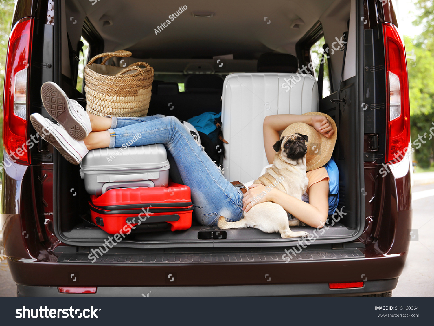 Sleeping Girl Car Trunk Cute Pug Stock Photo 515160064 | Shutterstock