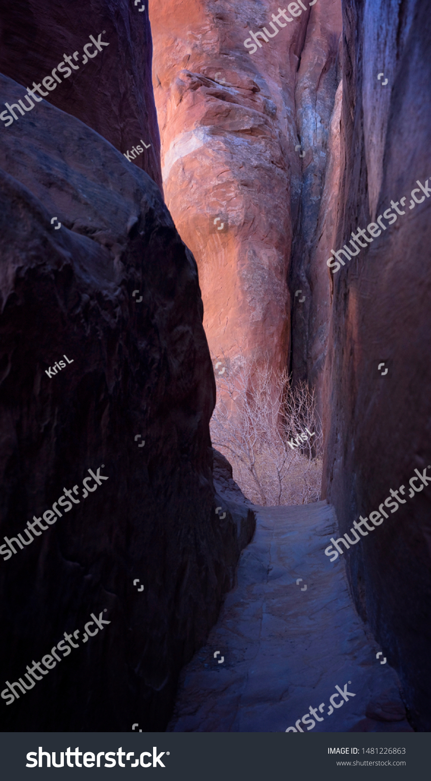 Slot Canyons Near Moab Ut