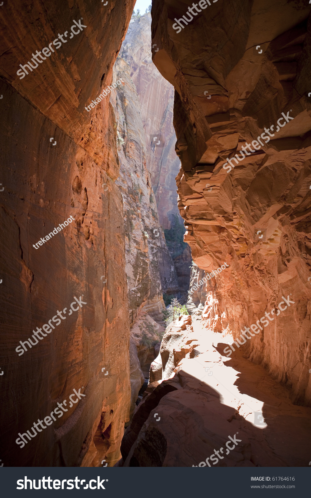 Zion national park map