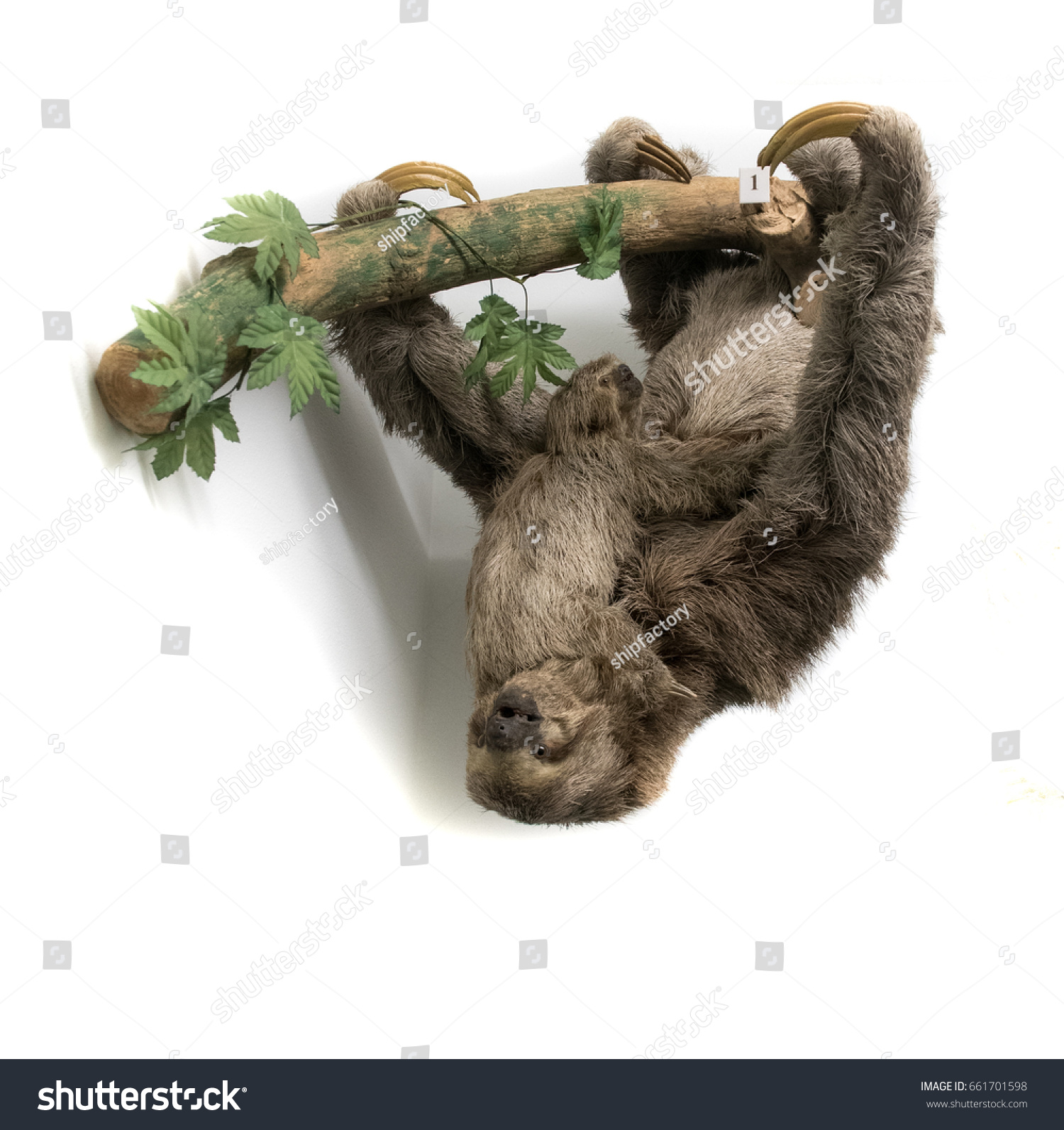 hanging sloth stuffed animal