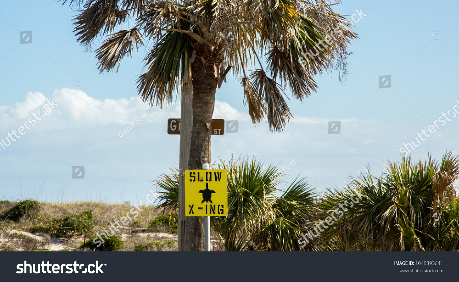 Slow Turtle Crossing >> Slow Turtle Crossing Sign Near Beach Stock Photo Edit Now 1048893641 Slow Turtle Crossing >> Slow Turtle Crossing Sign Near Beach Stock Photo Edit Now 1048893641