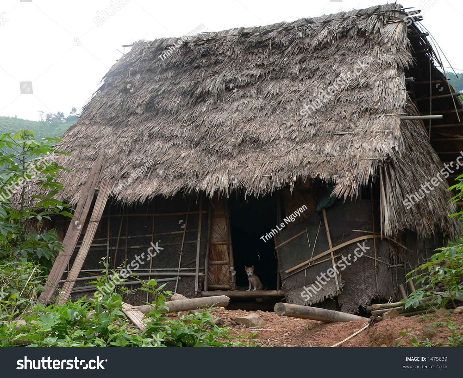 Slum House In Dakrong, Vietnam Stock Photo 1475639 : Shutterstock