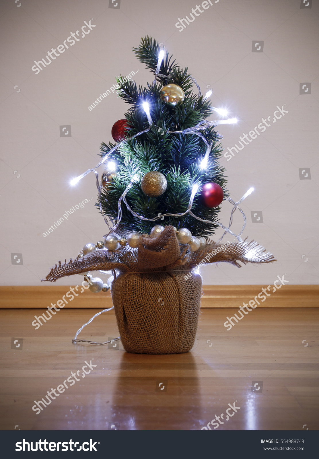 Small Christmas Tree Stock Photo 554988748 : Shutterstock