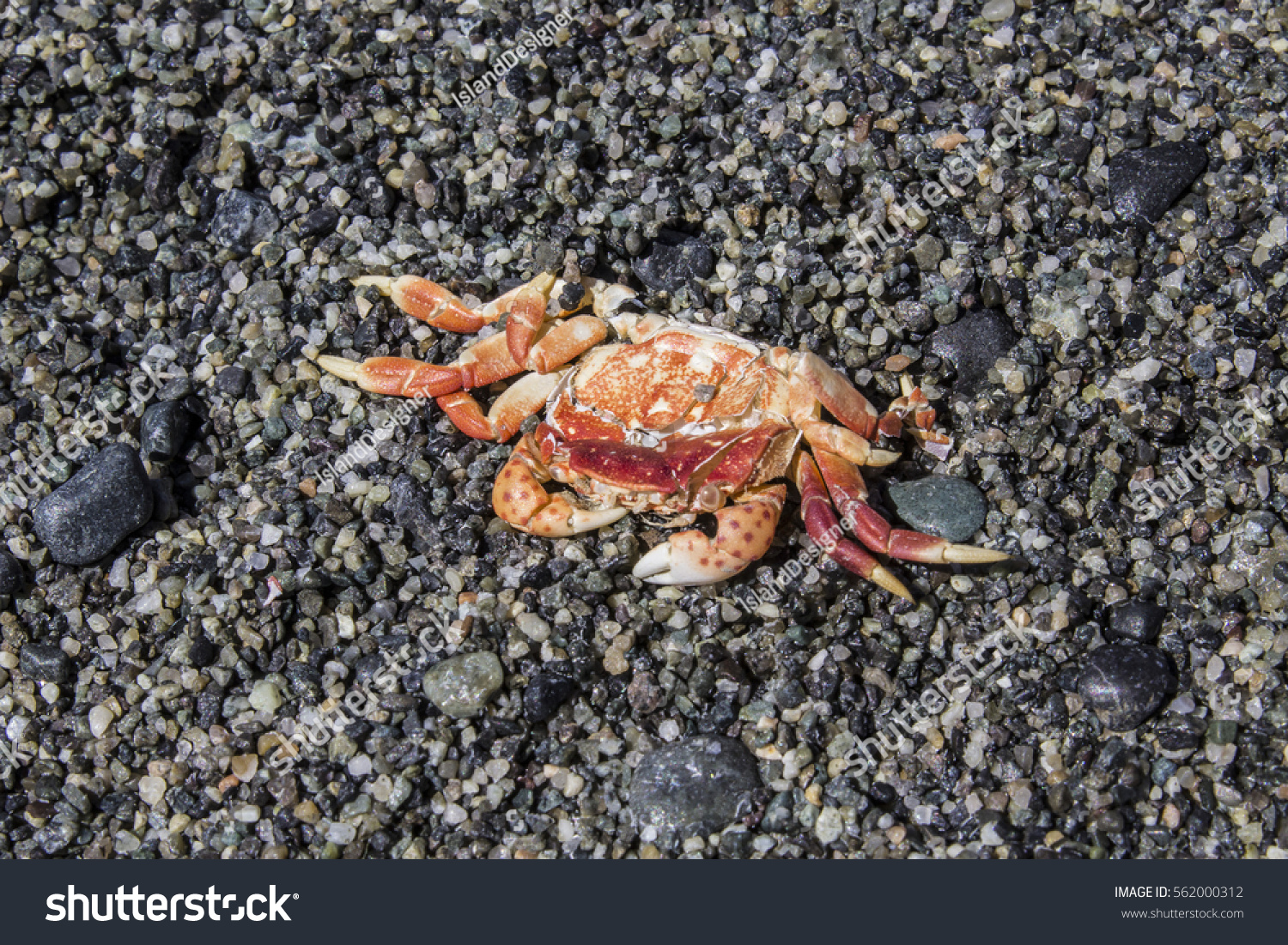 Crab crush