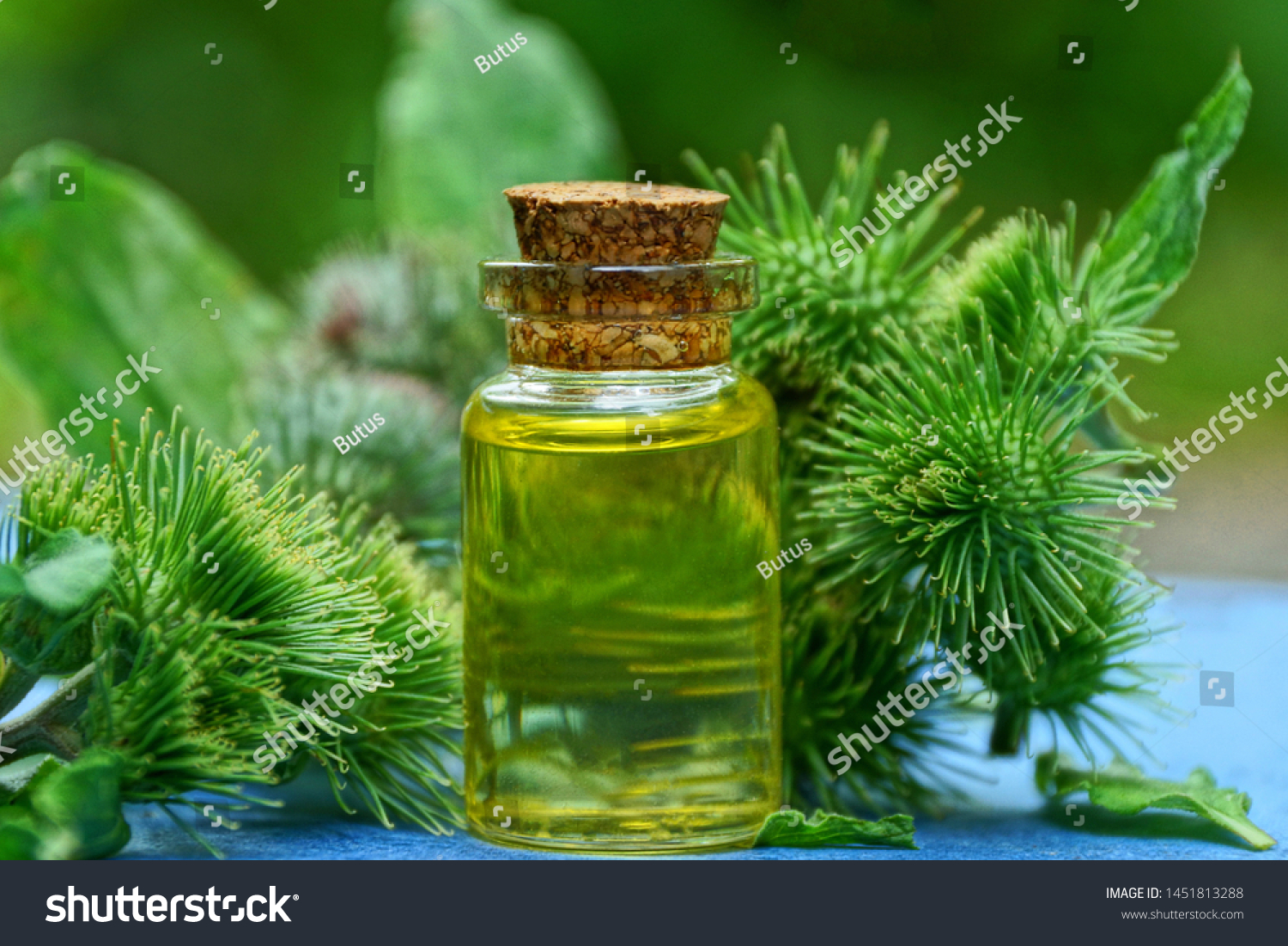 Download Small Glass Bottle Yellow Oil Green Stock Photo Edit Now 1451813288 Yellowimages Mockups
