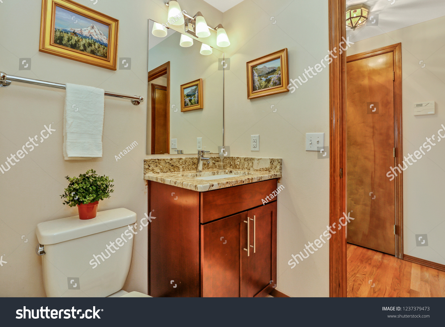 Small Guest Bathroom Wood Vanity Open Stock Photo Edit Now 1237379473