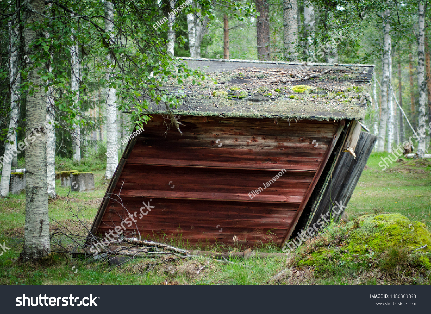 Small Old Crooked Cabin Forest Stock Photo Edit Now 1480863893