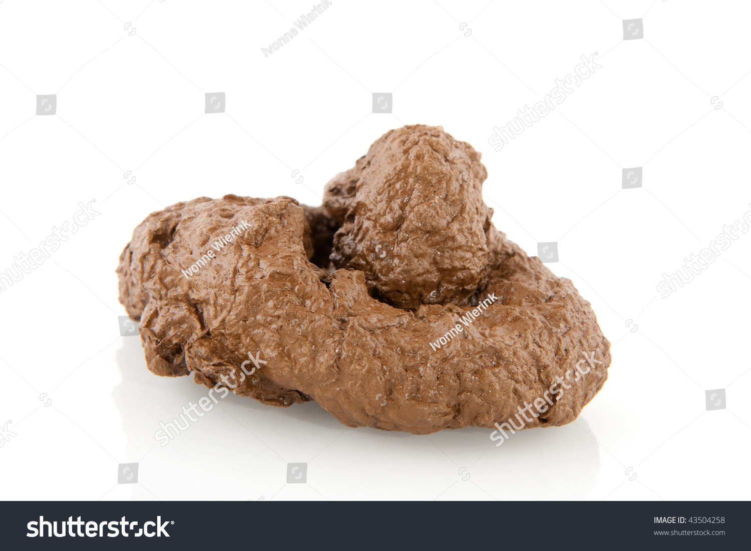 Smelling Wet Brown Feces Isolated Over Stock Photo 43504258 - Shutterstock