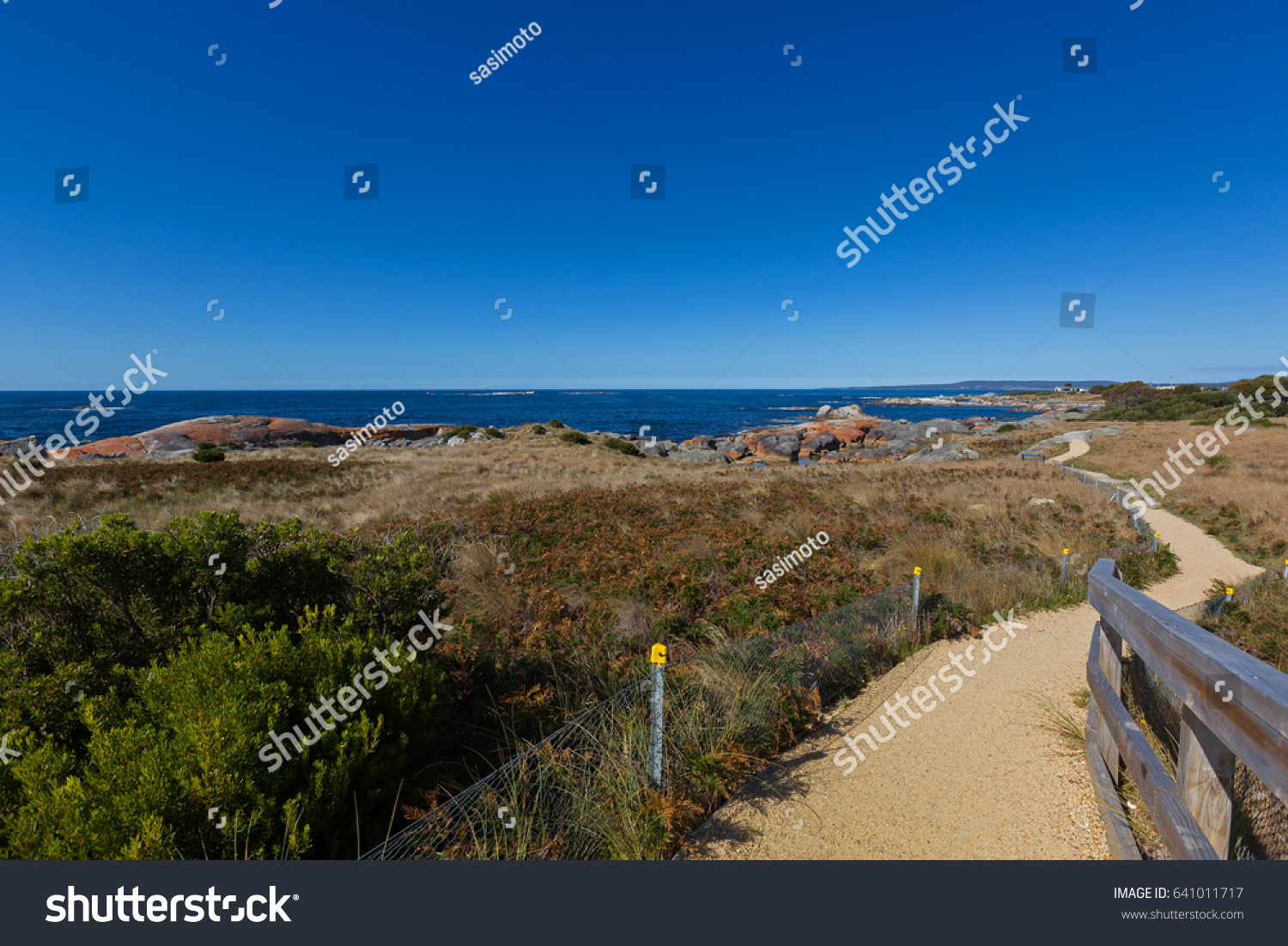  Teal Resting Curve Template Design Featuring Smooth Path Along Bay of Fires